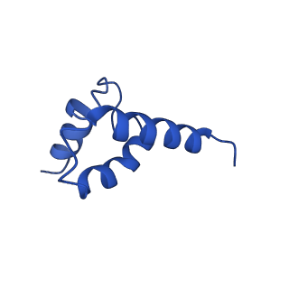 41204_8tew_R_v1-0
Human cytomegalovirus penton vertex, CVSC-bound configuration