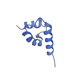 41204_8tew_S_v1-0
Human cytomegalovirus penton vertex, CVSC-bound configuration