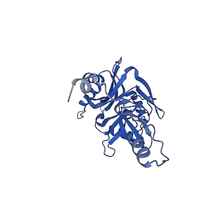 41204_8tew_W_v1-0
Human cytomegalovirus penton vertex, CVSC-bound configuration