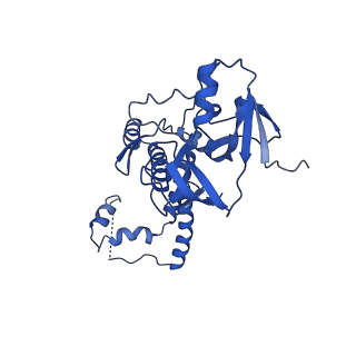 41204_8tew_X_v1-0
Human cytomegalovirus penton vertex, CVSC-bound configuration