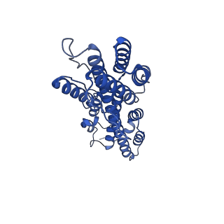 41204_8tew_Z_v1-0
Human cytomegalovirus penton vertex, CVSC-bound configuration