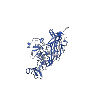 41208_8tex_N_v1-2
Avian Adeno-associated virus - empty capsid
