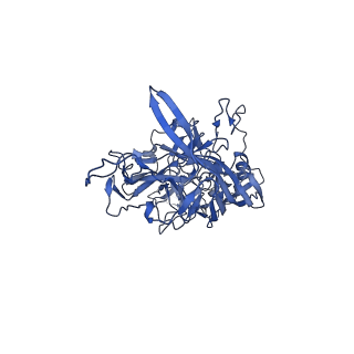 41208_8tex_s_v1-2
Avian Adeno-associated virus - empty capsid