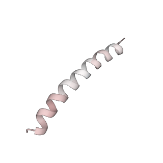 10491_6tf9_DP1_v1-2
Structure of the vertebrate gamma-Tubulin Ring Complex