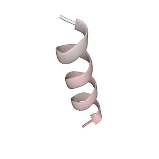 10491_6tf9_JP1_v1-2
Structure of the vertebrate gamma-Tubulin Ring Complex