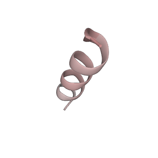 10491_6tf9_LP1_v1-2
Structure of the vertebrate gamma-Tubulin Ring Complex