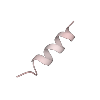 10491_6tf9_OP1_v1-2
Structure of the vertebrate gamma-Tubulin Ring Complex