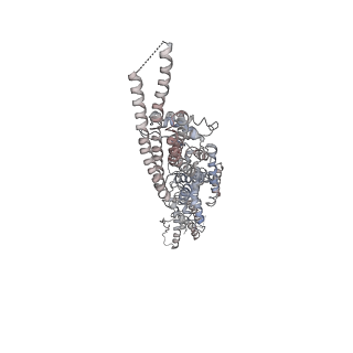 10491_6tf9_QP1_v1-2
Structure of the vertebrate gamma-Tubulin Ring Complex