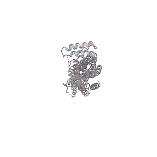 10491_6tf9_RP1_v1-2
Structure of the vertebrate gamma-Tubulin Ring Complex