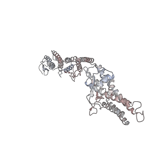 10491_6tf9_SP1_v1-2
Structure of the vertebrate gamma-Tubulin Ring Complex