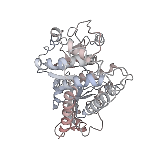 10491_6tf9_TP1_v1-2
Structure of the vertebrate gamma-Tubulin Ring Complex