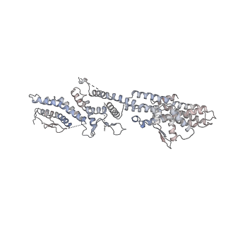 10491_6tf9_UP1_v1-2
Structure of the vertebrate gamma-Tubulin Ring Complex
