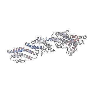 10491_6tf9_WP1_v1-2
Structure of the vertebrate gamma-Tubulin Ring Complex