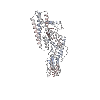 10491_6tf9_YP1_v1-2
Structure of the vertebrate gamma-Tubulin Ring Complex
