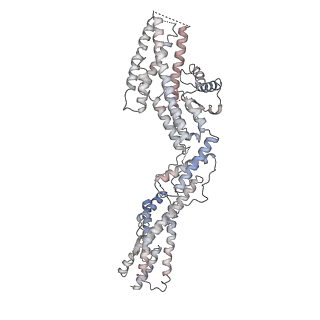 10491_6tf9_ZP1_v1-2
Structure of the vertebrate gamma-Tubulin Ring Complex