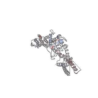 10491_6tf9_aP1_v1-2
Structure of the vertebrate gamma-Tubulin Ring Complex