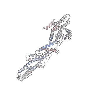 10491_6tf9_bP1_v1-2
Structure of the vertebrate gamma-Tubulin Ring Complex