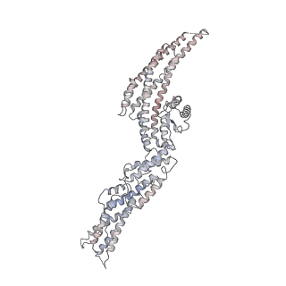10491_6tf9_dP1_v1-2
Structure of the vertebrate gamma-Tubulin Ring Complex