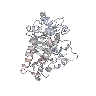 10491_6tf9_hP1_v1-2
Structure of the vertebrate gamma-Tubulin Ring Complex