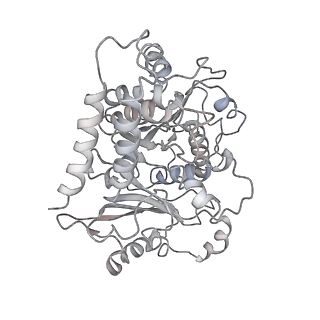 10491_6tf9_iP1_v1-2
Structure of the vertebrate gamma-Tubulin Ring Complex