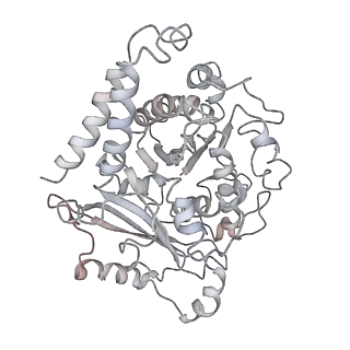 10491_6tf9_kP1_v1-2
Structure of the vertebrate gamma-Tubulin Ring Complex