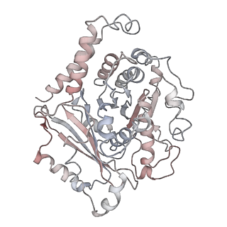 10491_6tf9_lP1_v1-2
Structure of the vertebrate gamma-Tubulin Ring Complex