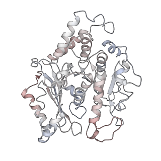 10491_6tf9_mP1_v1-2
Structure of the vertebrate gamma-Tubulin Ring Complex