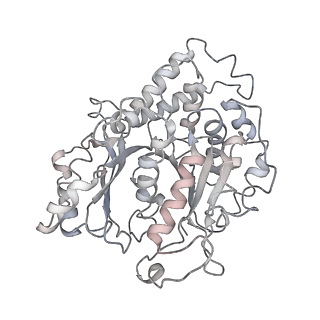 10491_6tf9_nP1_v1-2
Structure of the vertebrate gamma-Tubulin Ring Complex