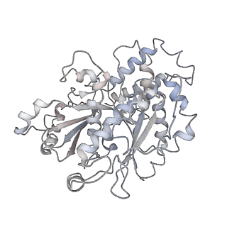 10491_6tf9_oP1_v1-2
Structure of the vertebrate gamma-Tubulin Ring Complex