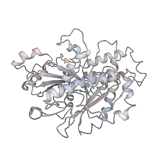 10491_6tf9_pP1_v1-2
Structure of the vertebrate gamma-Tubulin Ring Complex