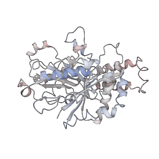 10491_6tf9_qP1_v1-2
Structure of the vertebrate gamma-Tubulin Ring Complex