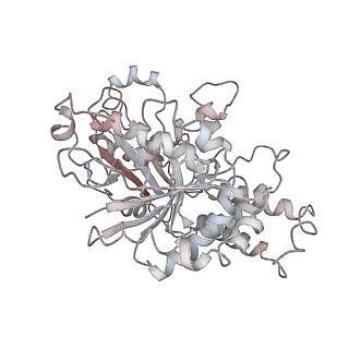 10491_6tf9_rP1_v1-2
Structure of the vertebrate gamma-Tubulin Ring Complex