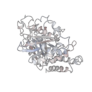 10491_6tf9_sP1_v1-2
Structure of the vertebrate gamma-Tubulin Ring Complex