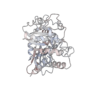 10491_6tf9_wP1_v1-2
Structure of the vertebrate gamma-Tubulin Ring Complex