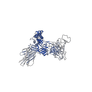 25857_7tf0_B_v1-0
Cryo-EM structure of SARS-CoV-2 Kappa (B.1.617.1) spike protein in complex with human ACE2