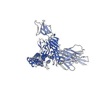 25857_7tf0_C_v1-0
Cryo-EM structure of SARS-CoV-2 Kappa (B.1.617.1) spike protein in complex with human ACE2