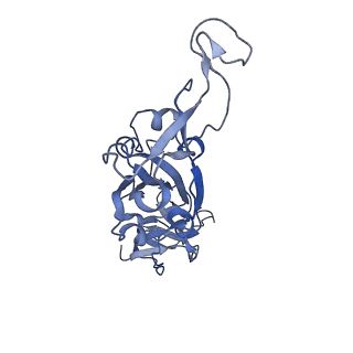 25858_7tf1_A_v1-0
Cryo-EM structure of SARS-CoV-2 Kappa (B.1.617.1) Q484I spike protein (focused refinement of RBD)