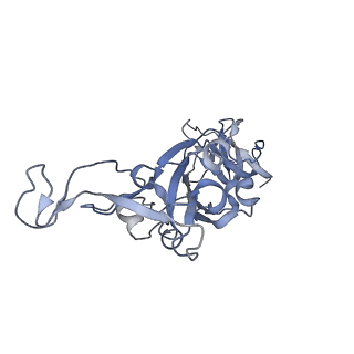 25858_7tf1_B_v1-0
Cryo-EM structure of SARS-CoV-2 Kappa (B.1.617.1) Q484I spike protein (focused refinement of RBD)