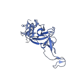 25858_7tf1_C_v1-0
Cryo-EM structure of SARS-CoV-2 Kappa (B.1.617.1) Q484I spike protein (focused refinement of RBD)
