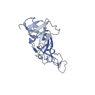 25858_7tf1_D_v1-0
Cryo-EM structure of SARS-CoV-2 Kappa (B.1.617.1) Q484I spike protein (focused refinement of RBD)