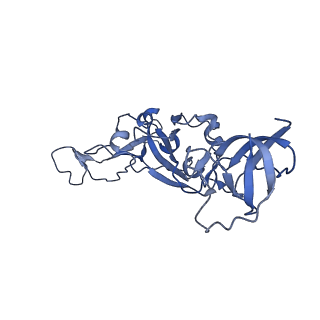 25858_7tf1_E_v1-0
Cryo-EM structure of SARS-CoV-2 Kappa (B.1.617.1) Q484I spike protein (focused refinement of RBD)