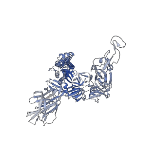 25859_7tf2_A_v1-0
Cryo-EM structure of SARS-CoV-2 Kappa (B.1.617.1) Q484I spike protein