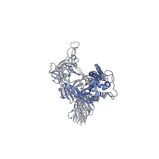 25859_7tf2_F_v1-0
Cryo-EM structure of SARS-CoV-2 Kappa (B.1.617.1) Q484I spike protein