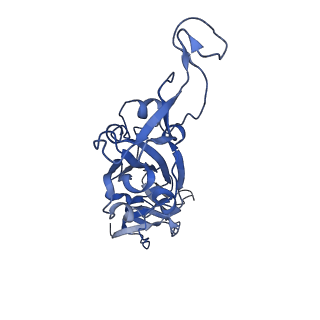 25861_7tf4_A_v1-0
Cryo-EM structure of SARS-CoV-2 Kappa (B.1.617.1) spike protein (focused refinement of RBD)