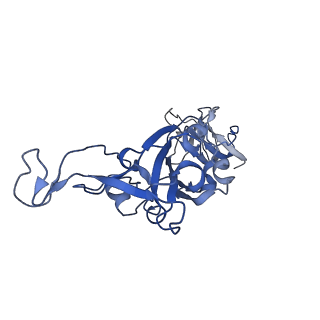 25861_7tf4_B_v1-0
Cryo-EM structure of SARS-CoV-2 Kappa (B.1.617.1) spike protein (focused refinement of RBD)