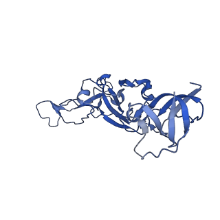 25861_7tf4_E_v1-0
Cryo-EM structure of SARS-CoV-2 Kappa (B.1.617.1) spike protein (focused refinement of RBD)