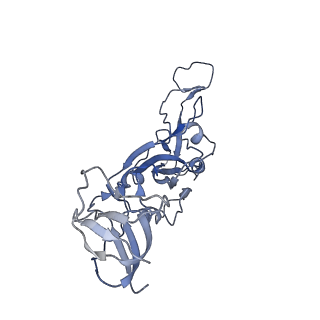 25861_7tf4_F_v1-0
Cryo-EM structure of SARS-CoV-2 Kappa (B.1.617.1) spike protein (focused refinement of RBD)