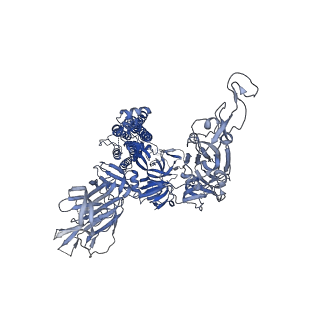 25862_7tf5_A_v1-0
Cryo-EM structure of SARS-CoV-2 Kappa (B.1.617.1) spike protein