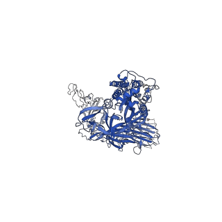 25865_7tf8_B_v1-1
SARS-CoV-2 Omicron 3-RBD down Spike Protein Trimer without the P986-P987 stabilizing mutations (S-GSAS-Omicron)