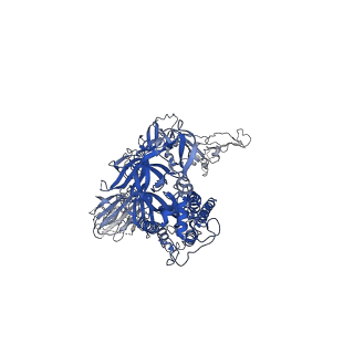 25865_7tf8_C_v1-1
SARS-CoV-2 Omicron 3-RBD down Spike Protein Trimer without the P986-P987 stabilizing mutations (S-GSAS-Omicron)